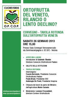Ortofrutta veneta. La competitivit� delle imprese e l�aggregazione dei produttori possono rilanciare il comparto. E� quanto emerso dalla tavola rotonda veronese tra esperti e il Ministro Catania